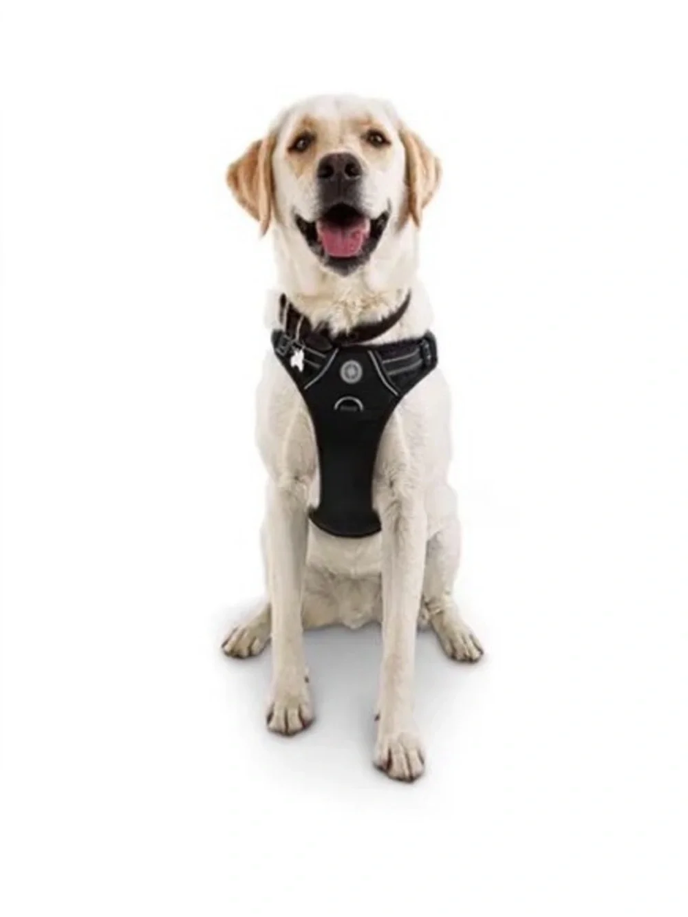 NWT Every Yay Black Embrace the Pace Front Walking Dog Harness - Size XL/XXL